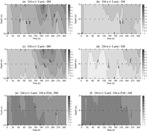 Evolution Of Picophytoplankton Mean Chlorophyll Chl A