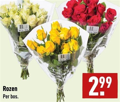 Rozen Aanbieding Bij Aldi