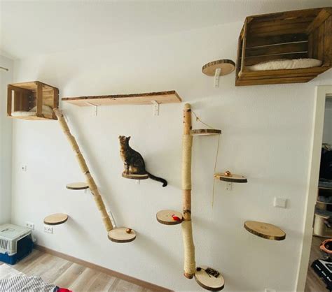 Diy Kletterwand Für Katzen Katzen Kletterwand Katzen Treppe Katzen Wand