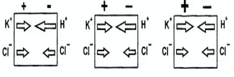 Ph Analyzers Ph Meters What Is Piping