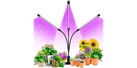 Grow Light Ankace 3 Head Timing