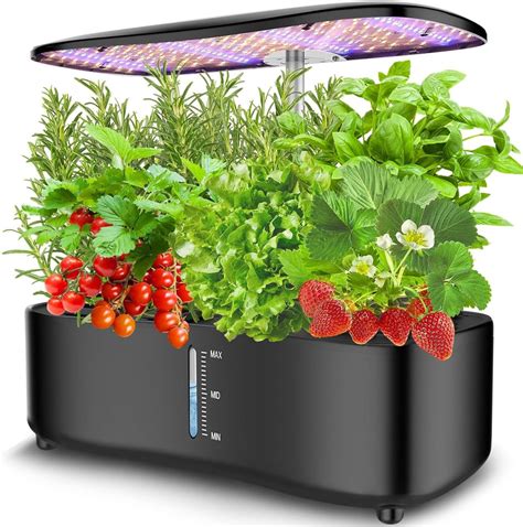 Maximize Growth with an Indoor Hydroponic System - Get Started!