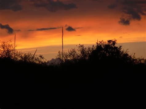 882 West texas landscape Stock Photos, Images | Download West texas ...