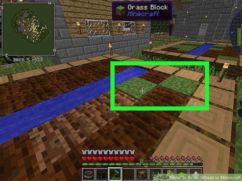 How To Grow Wheat In Minecraft 9 Steps With Pictures Wikihow