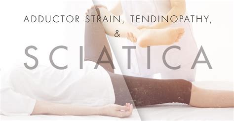 Adductor Strain Tendinopathy And Sciatica Ep Wellness And Functional