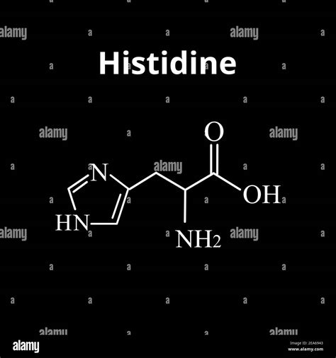 Amino acid Histidine. Chemical molecular formula Histidine amino acid ...