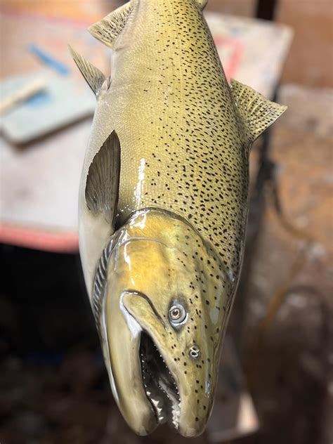 Remembering the Achievements and Life of Bryan Russell 22