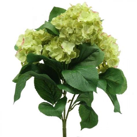 Floristik Fr Hortensia Artificiel Vert Bouquet De Fleurs