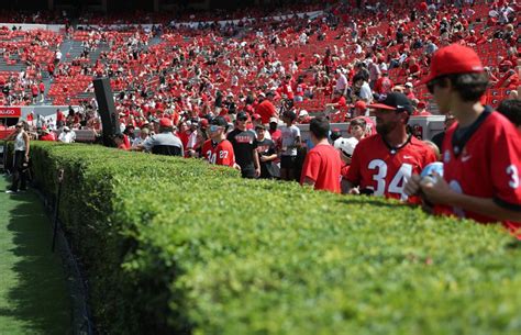 Behind The Hedges A History Of Sanford Stadiums Greenery Georgia