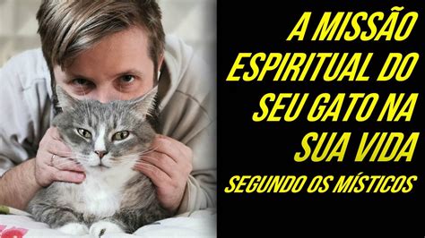 Quando O Gato Fica Muito Em Cima Do Dono Espiritual - A MISSÃO ESPIRITUAL DOS GATOS PARA COM OS SEUS DONOS, INCRÍVEL, VEJA ...