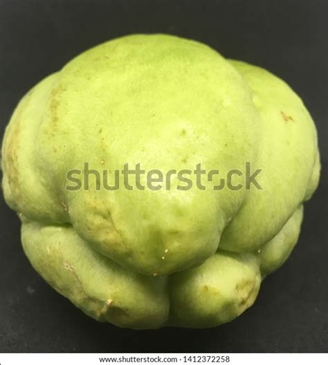 Chayote Labu Siam Jipang Isolated Black Stock Photo