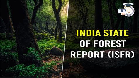 India State Of Forest Report Isfr Key Findings