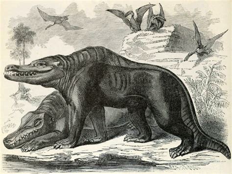 The First Dinosaur was Named What now? – Max's Blogo-Saurus