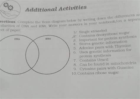 Dna Vs Rna Venn Diagram