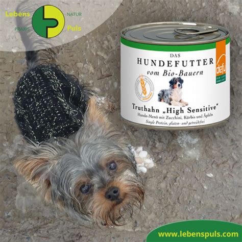 1 High Sensitive Hundefutter GETREIDEFREI Truthahn Gesund