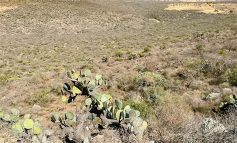 Declaran a Peña Colorada como área natural protegida