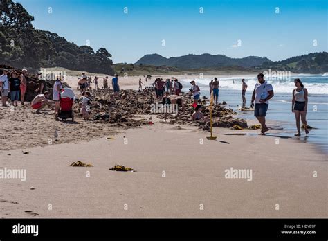 Hot Water Beach On Mercury Bay The Coromandel Peninsula North Island