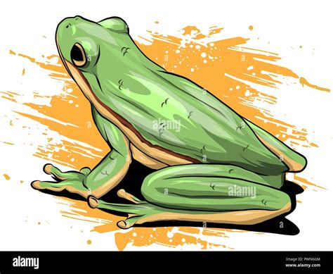 Realistic Frog Drawing