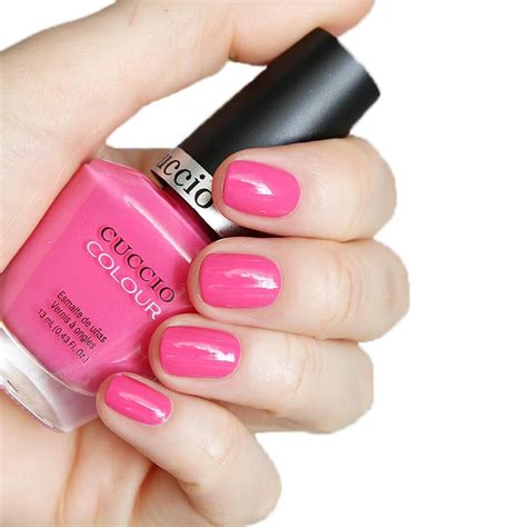 Hot Thang Cuccio Trade