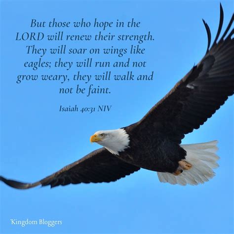 16 Bible Verses About Birds