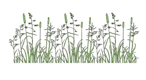 CAd drawings details of garden grass front view - Cadbull