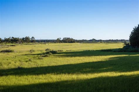 Creek And Marshy Field Stock Image Image Of Coastal 121158537