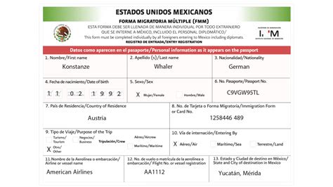 Printable Mexican Immigration Form