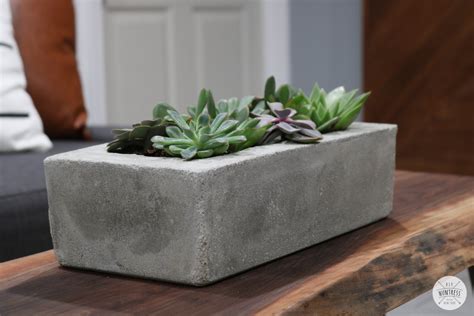 diy-easy-concrete-planter-18 - DIY Huntress