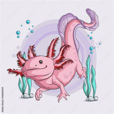 Hand Drawn Cute Axolotl Ambystoma Mexicanum Swimming Isolated On White