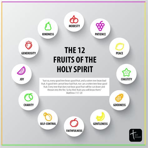 Fruits And Ts Of The Holy Spirit Bible Verse Manda Maples