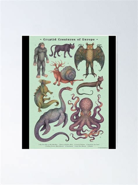 Cryptids Of Europe Cryptozoology Species Poster Poster For Sale By