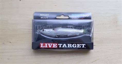 LIVETARGET Hollow Body Mullet Review Pros Cons Video Review