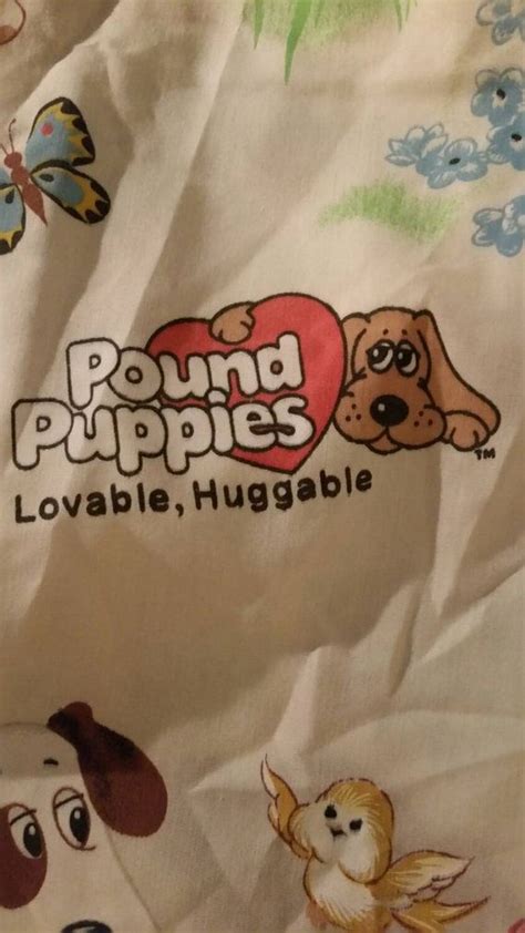 Original Pound Puppies Names - NEWBORNPETS.XYZ