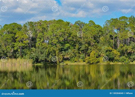 Beautiful View At Lake Seminole Seminole Florida Stock Photo Image