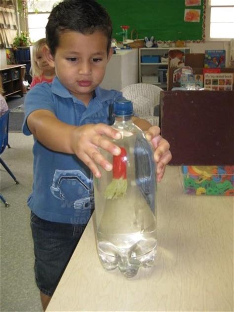 Preschool Science Projects | Good Science Project Ideas