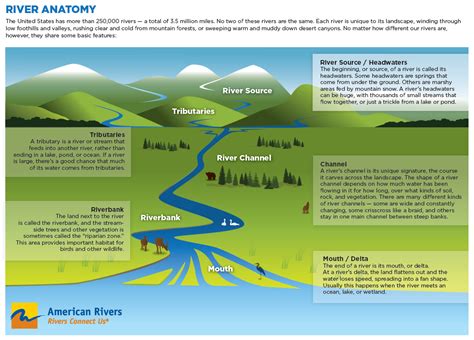 Label The Following Features Of A River