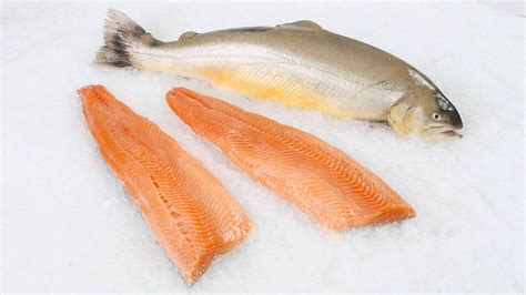 Arctic Char Fresh Fillet Iceland Price Per Lb