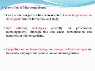 Inoculum Build Up For Fermentation Ppt