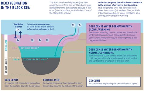 Copernicus Marine Environment Monitoring Service