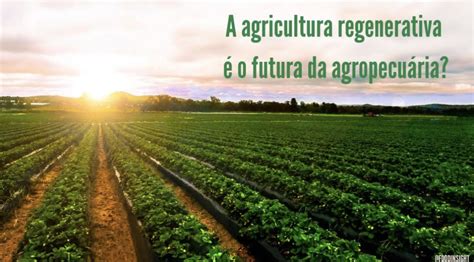 O Que é Agricultura Regenerativa Food Insight