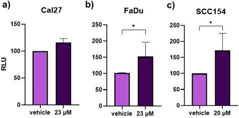 HNSCC Cell Lines Treated With PF Inhibitor Show Increased Apoptosis