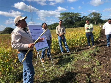 Manejo Agroecol Gico De Plagas Equilibrio Sustentabilidad Y Salud