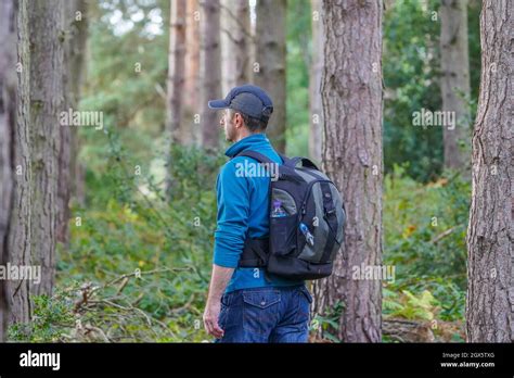 Rear Side View Of An Isolated Man Walking Through Uk Woodland Forest