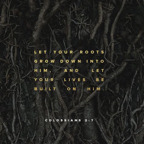 Colossians Having Been Firmly Rooted And Now Being Built Up In Him