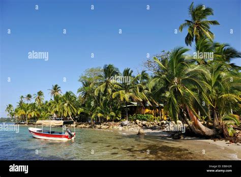 Boca Del Drago Isla Col N Archipi Lago De Bocas Del Toro Rep Blica