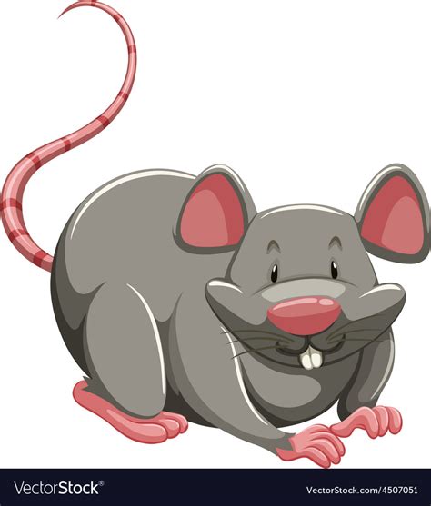 Mouse Royalty Free Vector Image - VectorStock