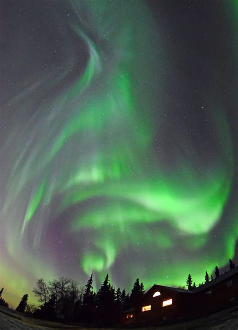 Alaska Northern Lights Tour 2025 - Wild Alaska Travel