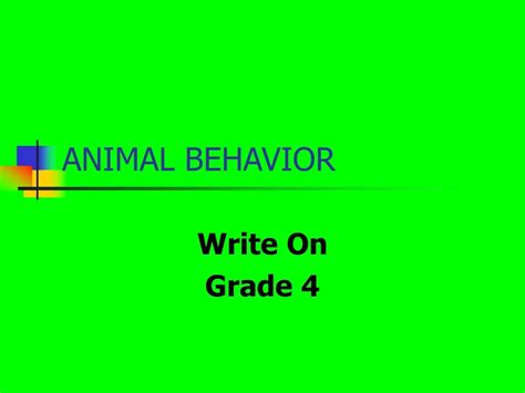 Ppt Animal Behavior Powerpoint Presentation Free Download Id153411