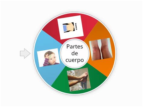 Partes del cuerpo Roda aleatória