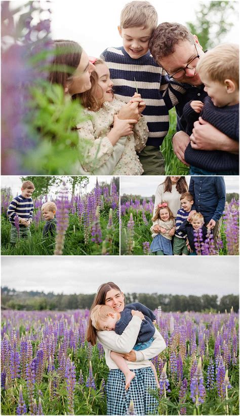 Spring Family Photos in the Lupine Fields : Kim Hildebrand Photography